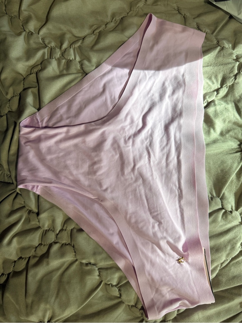 Victoria's Secret Light Pink Seamless Bikini Panty